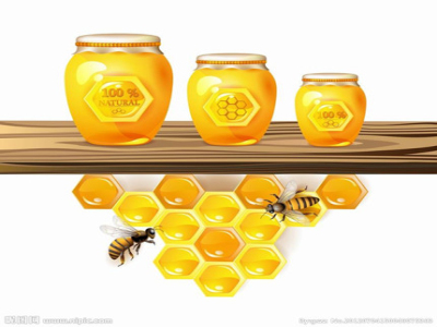 1488352424377548.jpg 453b09b0-9060-467b-aedb-25f9bcde689a.jpg