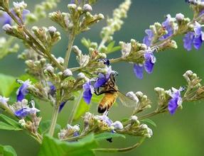 1488422511546897.jpg 5a1241524080n4166502669c21.jpg