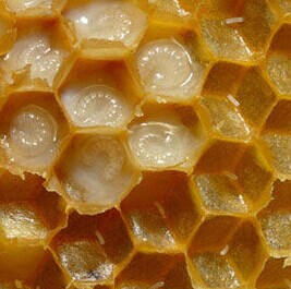 1488422751136937.jpg 78e3b59f5f44151307841c.jpg