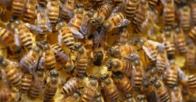 1492677977384111.jpg QQ截圖20170420164523.jpg