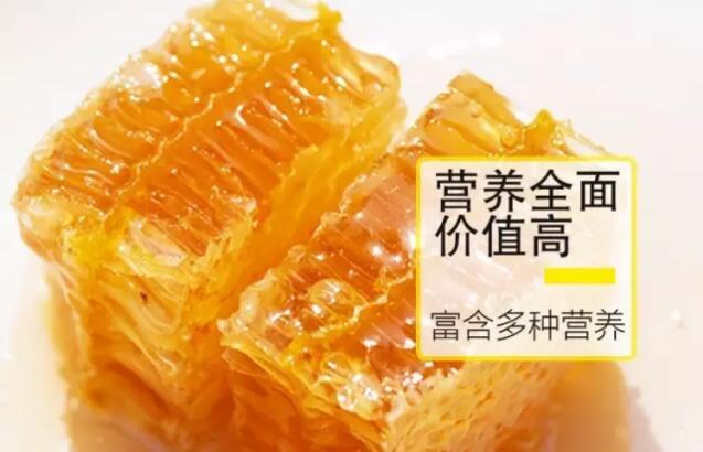 1496213095119337.jpg 1496213095119337.jpg