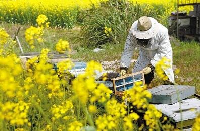 1496819777798686.jpg 20170607151639.jpg