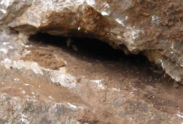 1498119587821194.jpg 20140228104345580.jpg