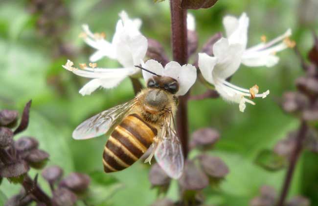 1498119612139747.jpg 20150603080733206.jpg