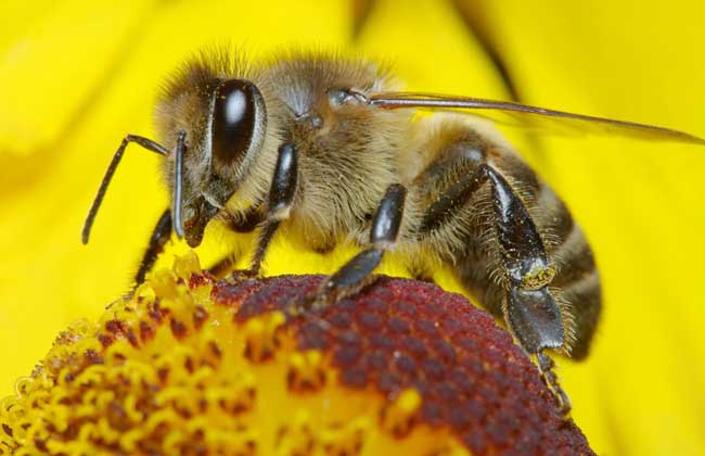 1498119619112964.jpg 20150603080745316.jpg