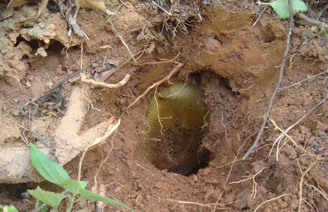 1498119648789030.jpg 20160730064508519.jpg