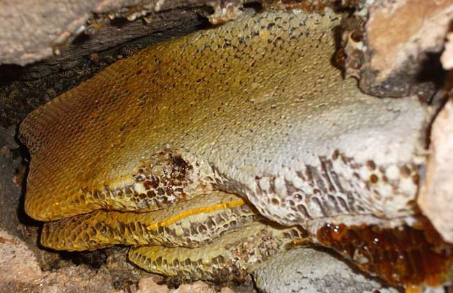 1498119663110635.jpg 20160730064546468.jpg