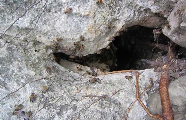 1498119671573247.jpg 20160730064600377.jpg