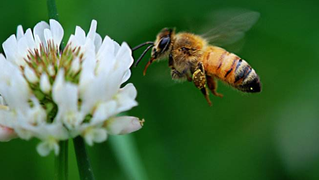 1501230720431057.png }3ZDTP4R[GRNYD80FDE7D6V.png