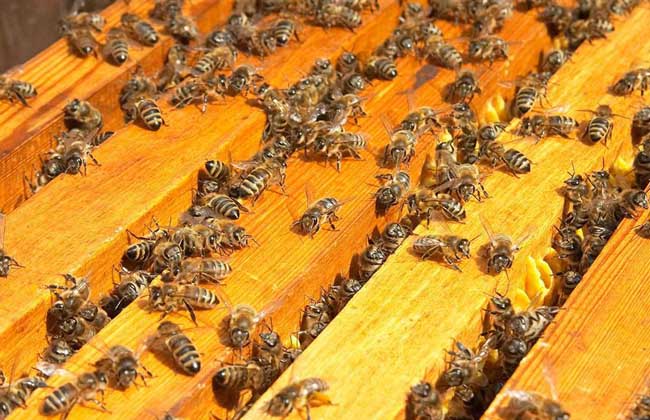 1503652635183722.jpg 20160414093608438.jpg