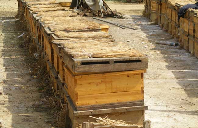 1503652653975039.jpg 20160414093620561.jpg