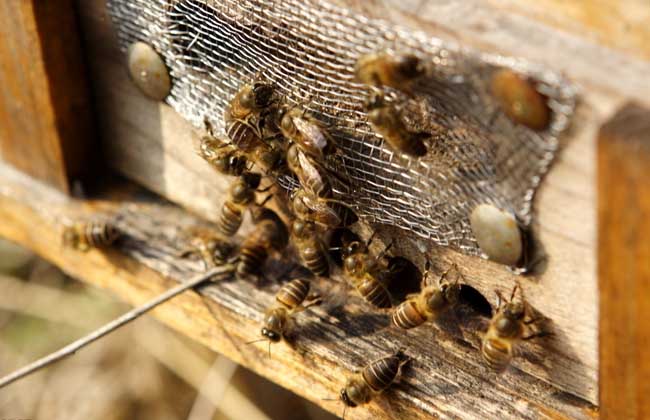 1503652665507386.jpg 20160414093632678.jpg