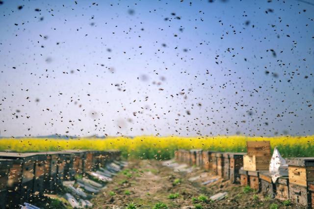 1506505804140952.jpg 58ebdf532309494388f4b9a094547d86_th.jpg