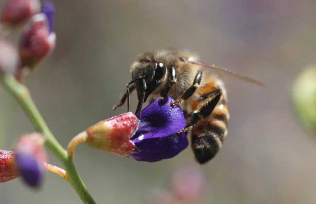 1506669743138035.jpg 20160414081752381.jpg