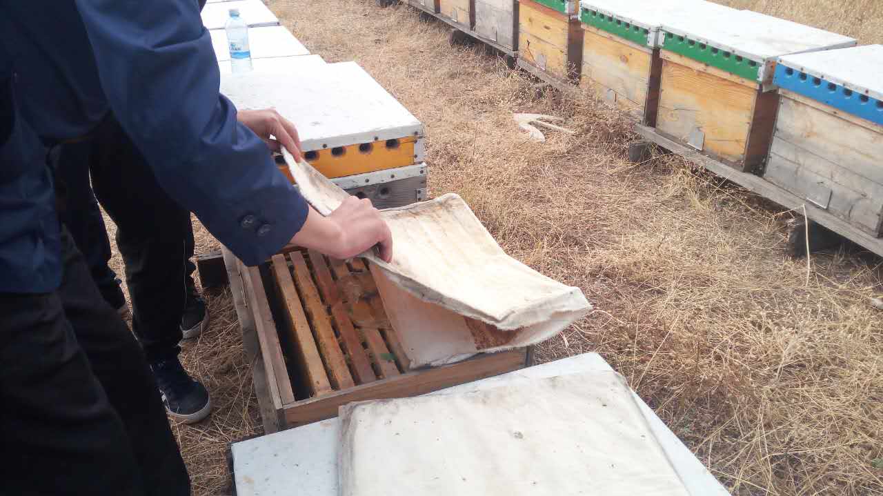 1506753173721022.jpg 微信圖片_20170930111526.jpg