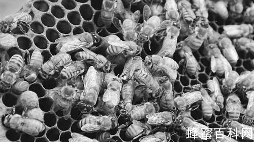 1507875238818859.jpg 1324295017-0.jpg