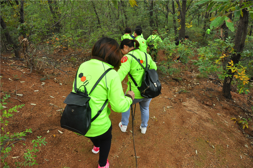 1508744987107804.jpg DSC_1152.jpg