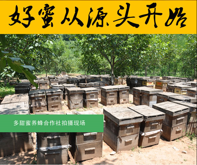 1509520084919130.png 養(yǎng)蜂基地_副本.png