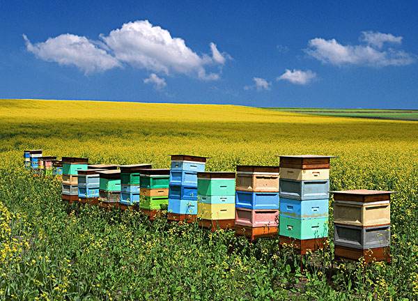 1509678920126947.jpeg 20170402151229_ebe46d403bef55577e2646aecb2612f2_1.jpeg