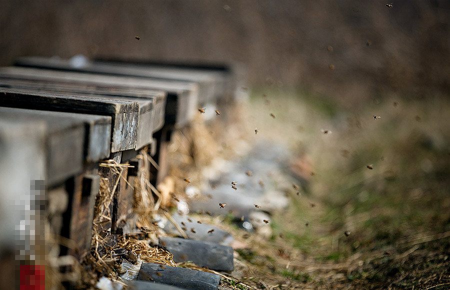 1512552190432820.jpg 38258257_1488188077496_mthumb_副本.jpg