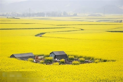 1512552261105495.jpg 1371958245859_副本.jpg