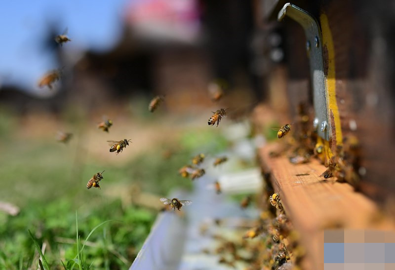 1512552348873519.jpg wKhTlVi-XJuETYZPAAAAALzGKrg302_副本.jpg