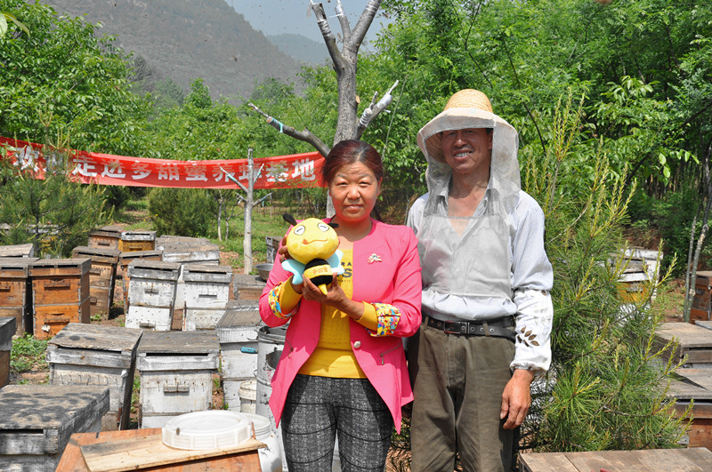 1512552497632664.jpg 陜西養(yǎng)蜂蜂農(nóng)_副本.jpg