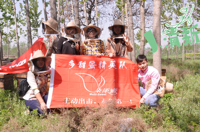 1513664658852305.jpg DSC_3716_副本.jpg