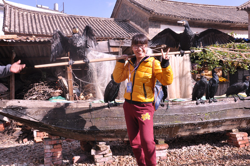 1513667593138708.jpg 2015.12.26_副本.jpg