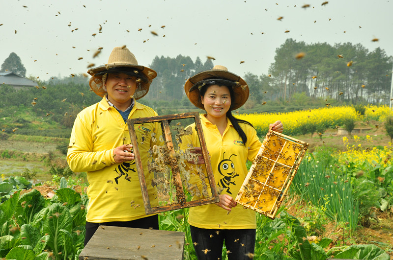 1514361412562775.jpg DSC_0132_副本.jpg