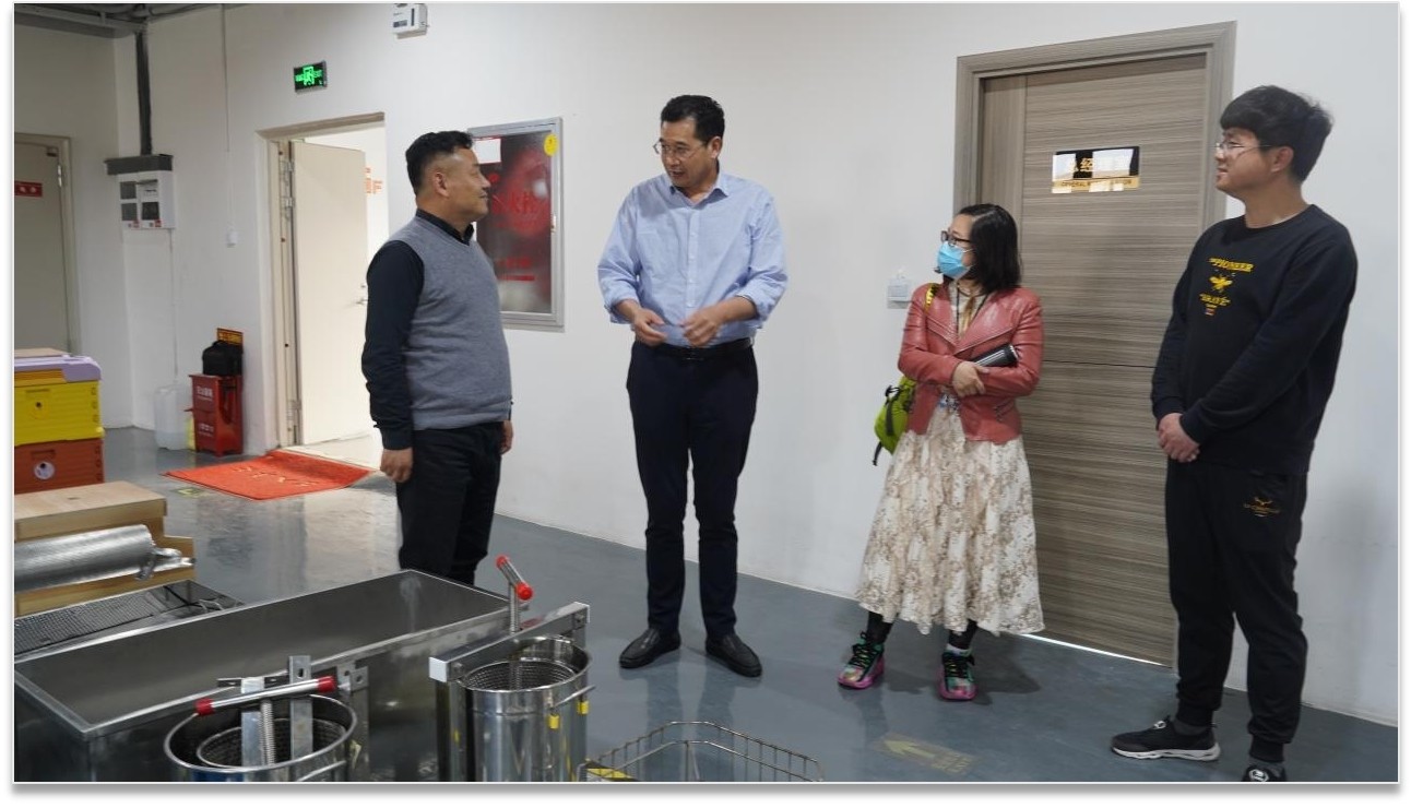 1618391753394789.jpg 2.jpg