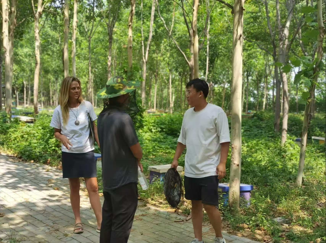 1726280799946939.png 2.png