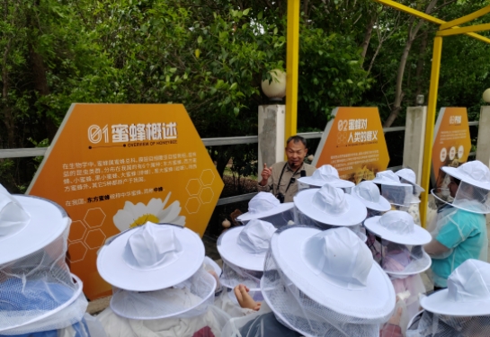 1726626651582511.png 333.png