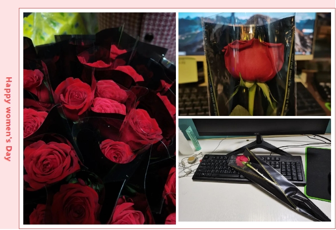 1726627282734728.png 2.png