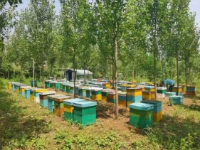 1728367226896536.png 3.png