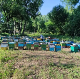 1728367230263257.png 4.png