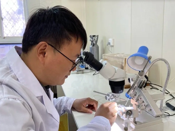 1728367289782402.png 5.png