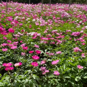 1728367348107408.png 9.png