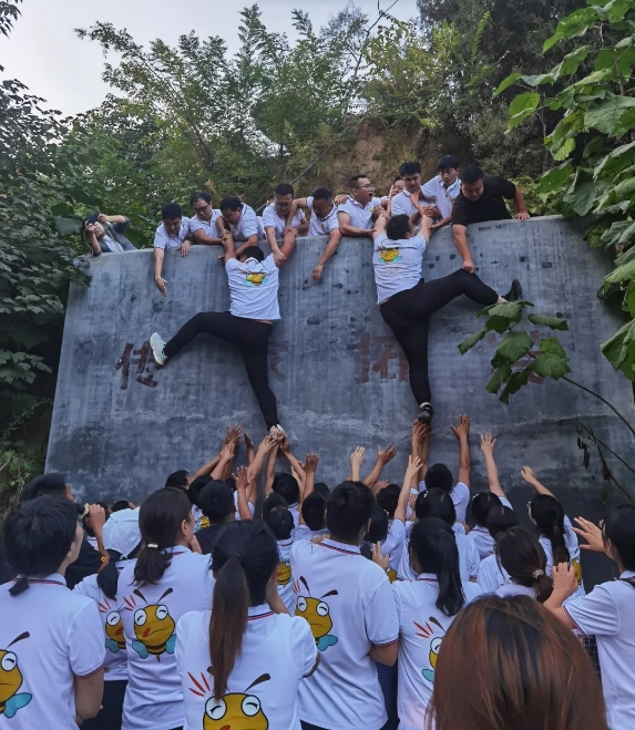 1728368857872433.png 6.png