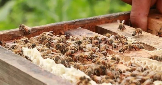 1728455147295810.png 1.png