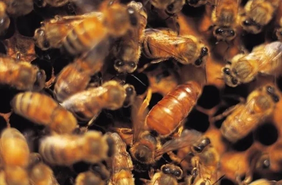 1728458202616759.png 2.png