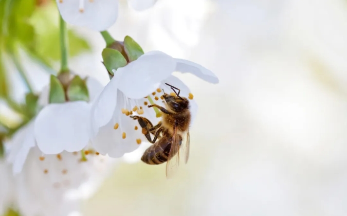 1728458536210522.png 4.png