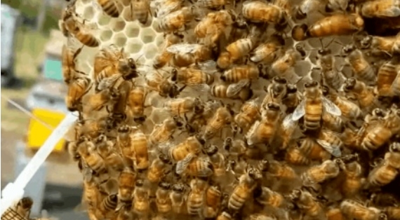 1728458662142483.png 6.png