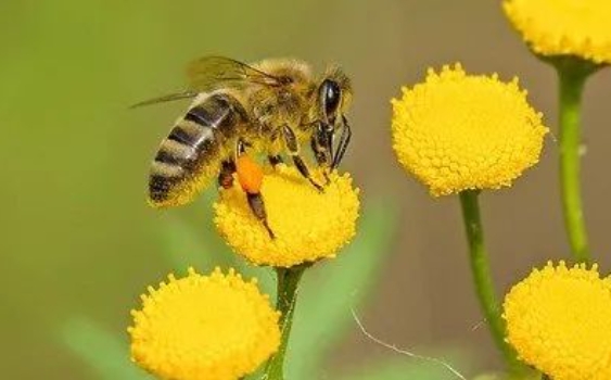 1728458734633424.png 7.png