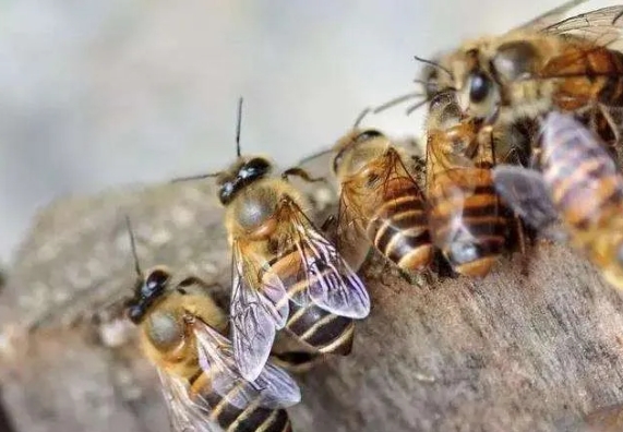 1728459115704184.png 8.png