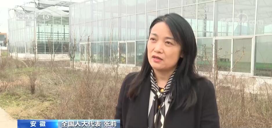 1736991462881460.jpg 1.jpg