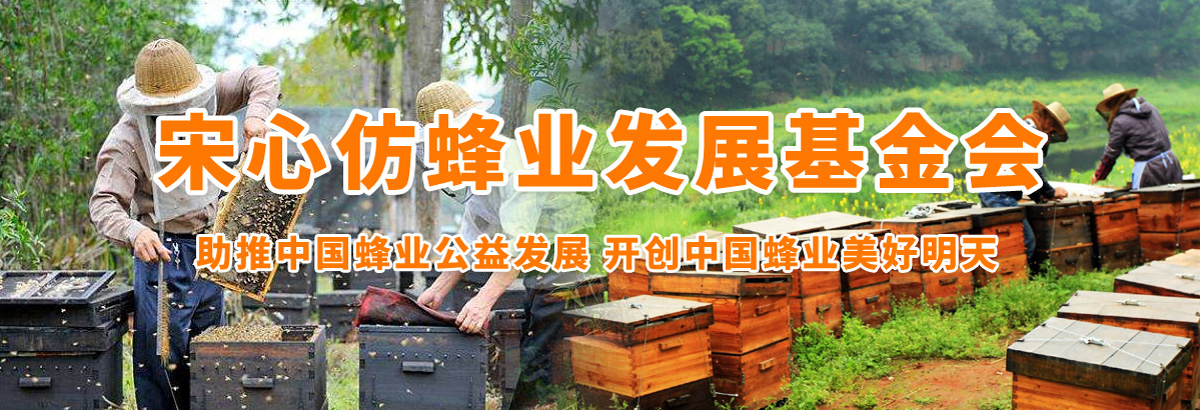 1736991667814994.jpg 1736991667814994.jpg