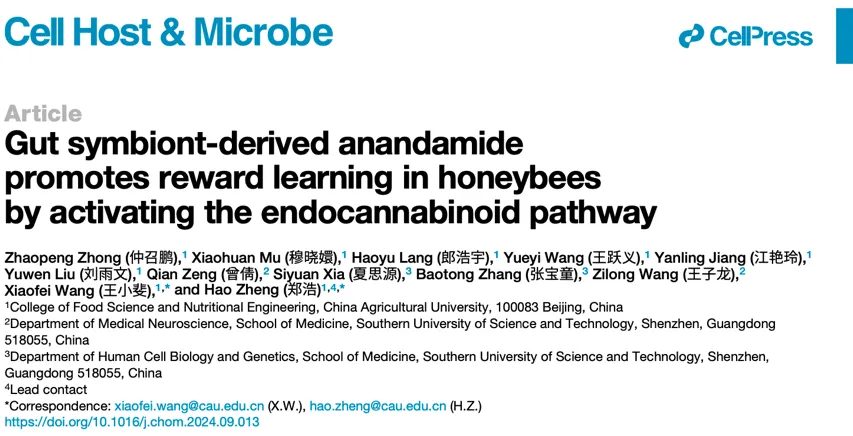 1736991741777500.png 1736991741777500.png